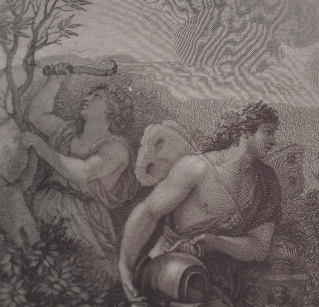 image 52